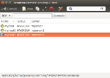 Remmina Main Window on Ubuntu 14.04